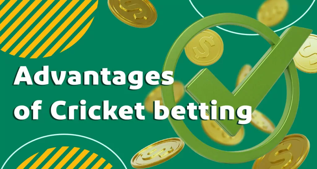 Cricket Betting 1 Advantages of Baji999 casino bookmaker for cricket betting