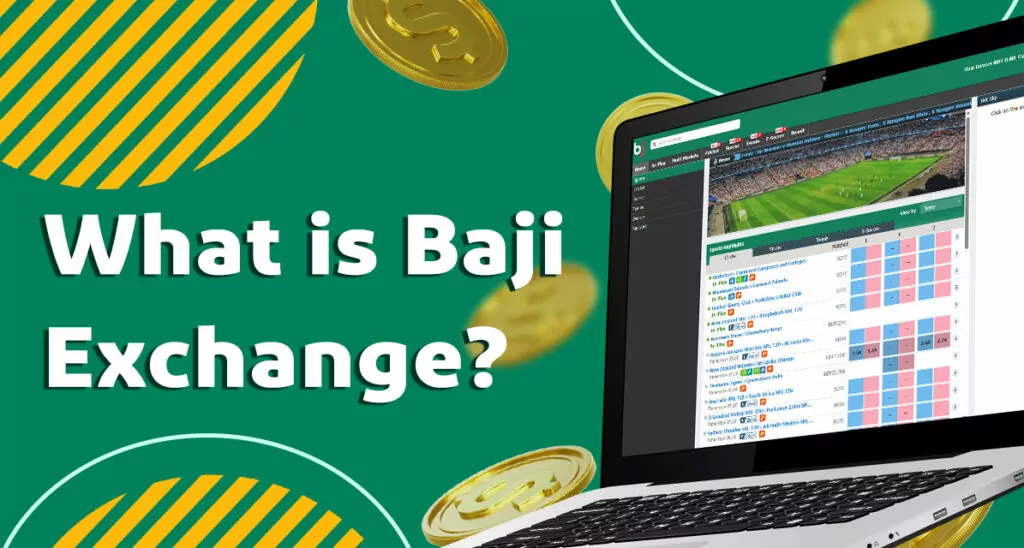 Description of the Exchange section on the Baji999 Casino website 